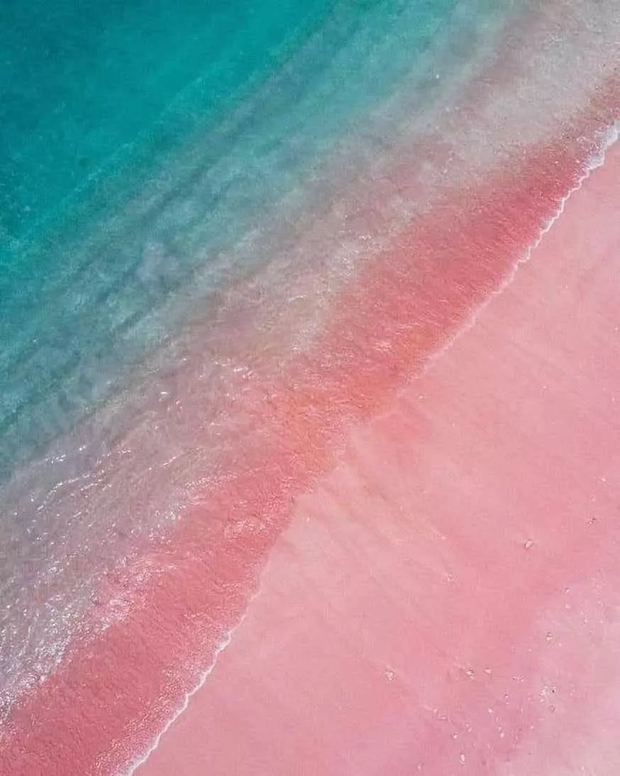 I didn't know they got pink beach. What a beauty in Komodo Island, Indonesia,  posted by Yourkindasnow