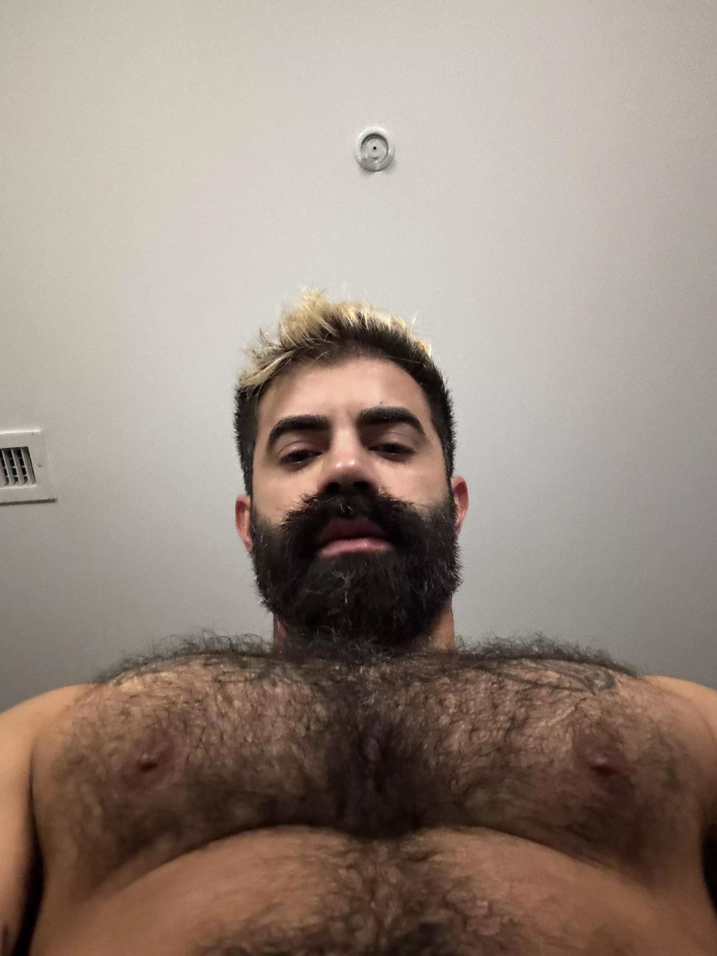 Like the view from down there? posted by MooseDaddy999