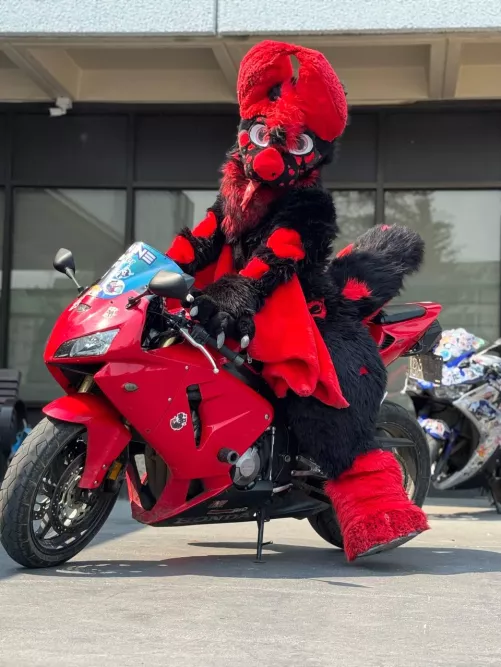 Squeek! Showing of my bat fursuit by furryinahurry_