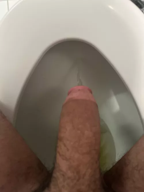 Who wants a drink  by Purple-Map-4994