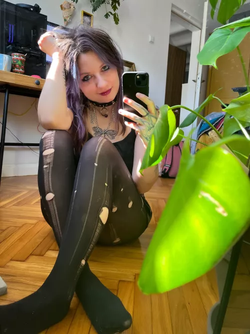 oh no they ripped [f] by Littlest_Fern