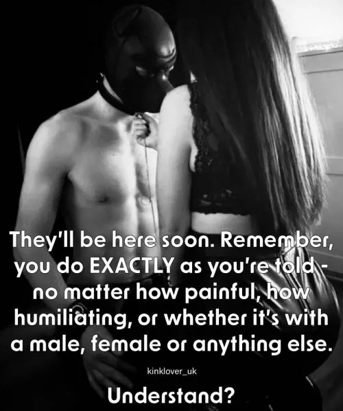 The rules are clear. The ‘anything else’ is intriguing…  by kinklover_uk