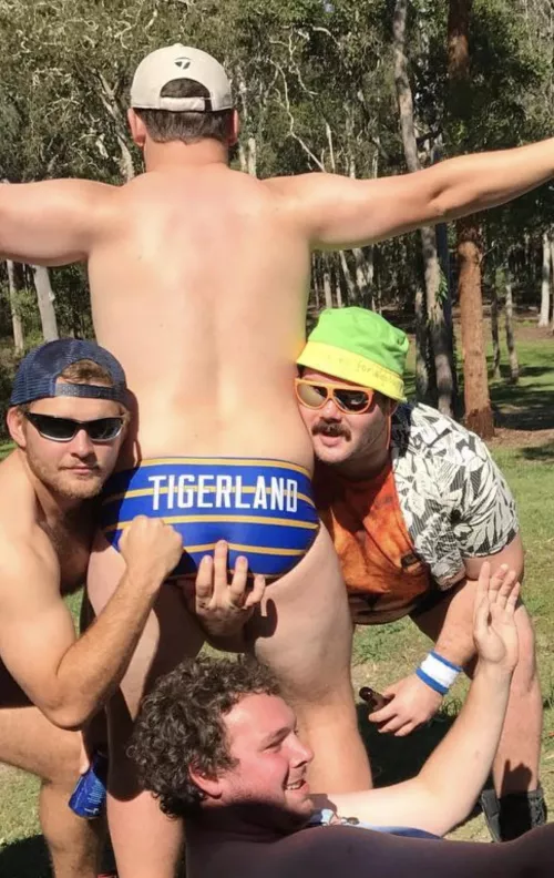 Tigerland by Primal_Mantis