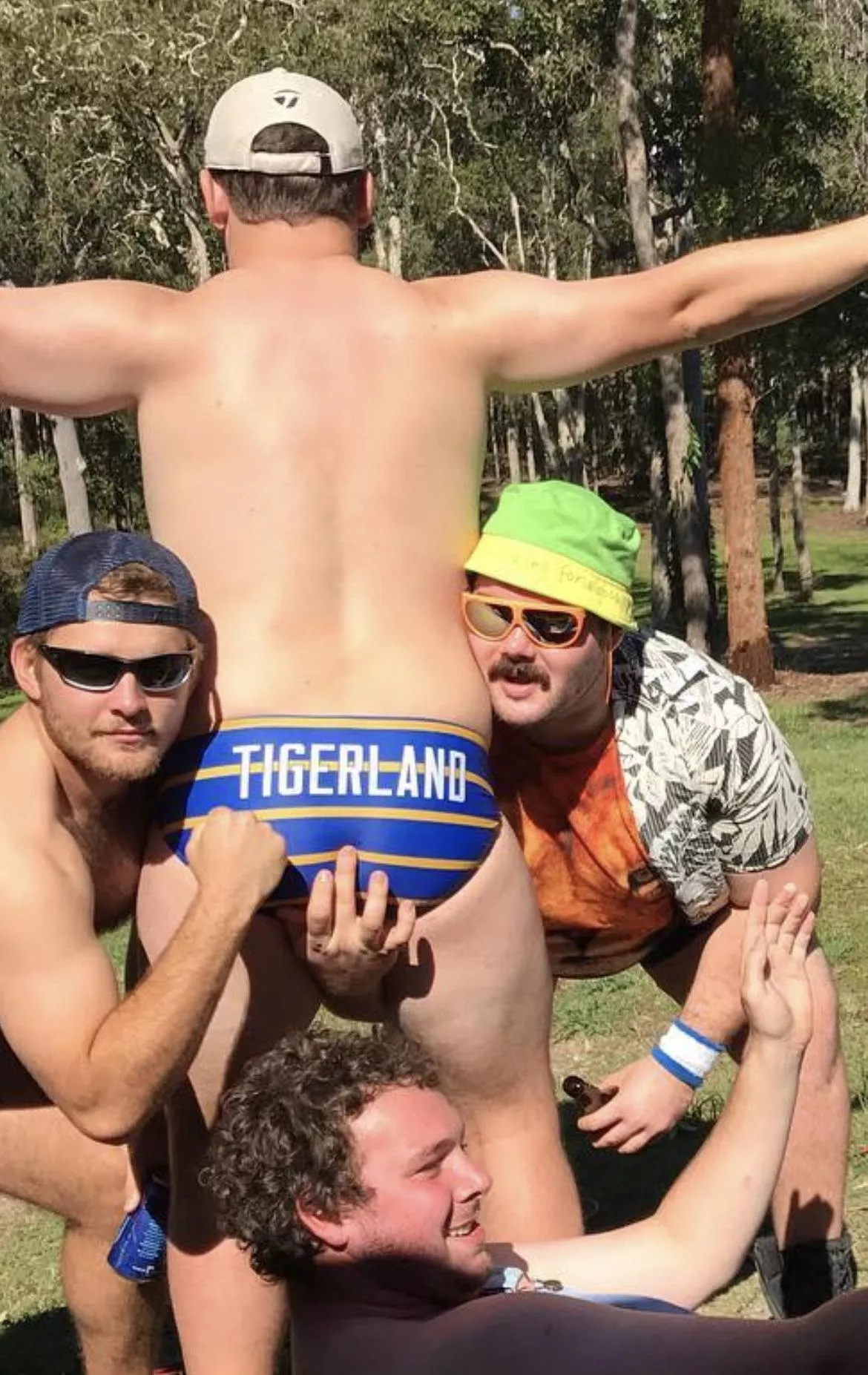 Tigerland posted by Primal_Mantis