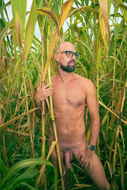 Time to harvest  by kinkergarten