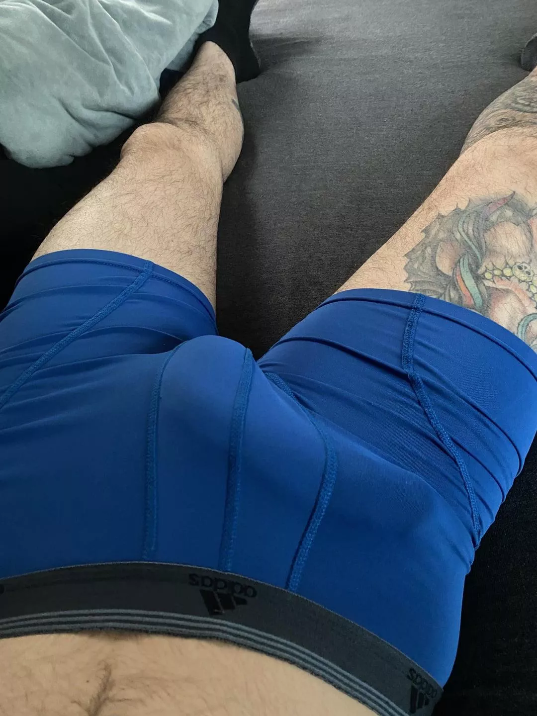 Tough to hide  posted by Binge-dreaming884