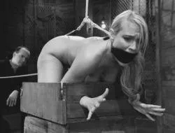 All bound up [Not OC] posted by AnotherSexyBaldGuy