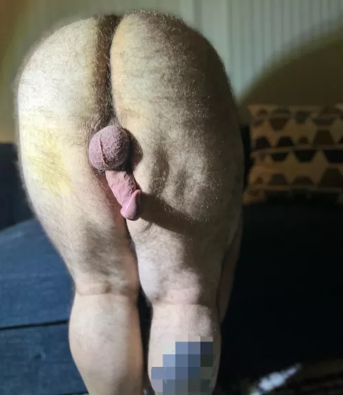 I mean, it is hump day by bigmikemccarthy