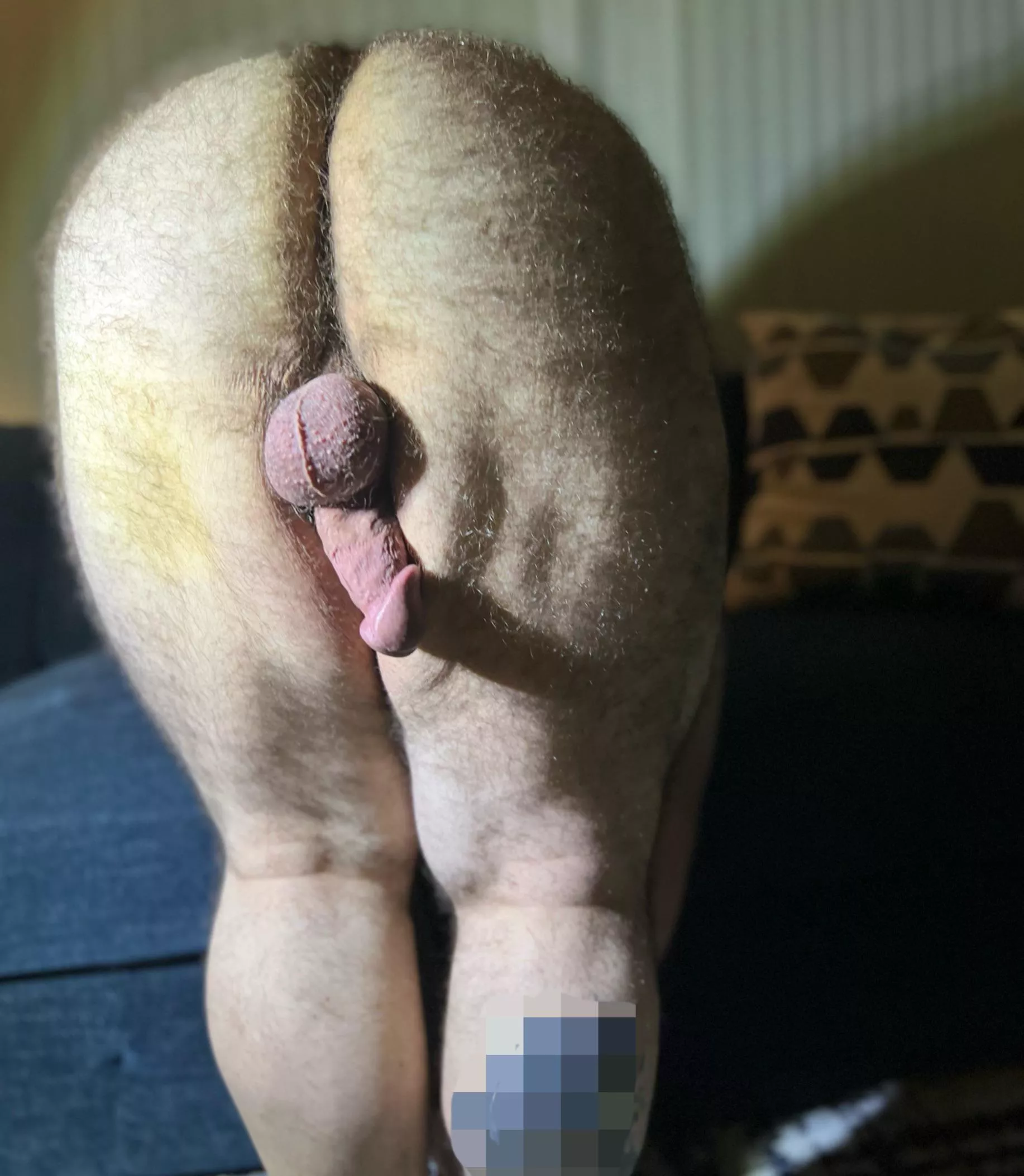 I mean, it is hump day posted by bigmikemccarthy