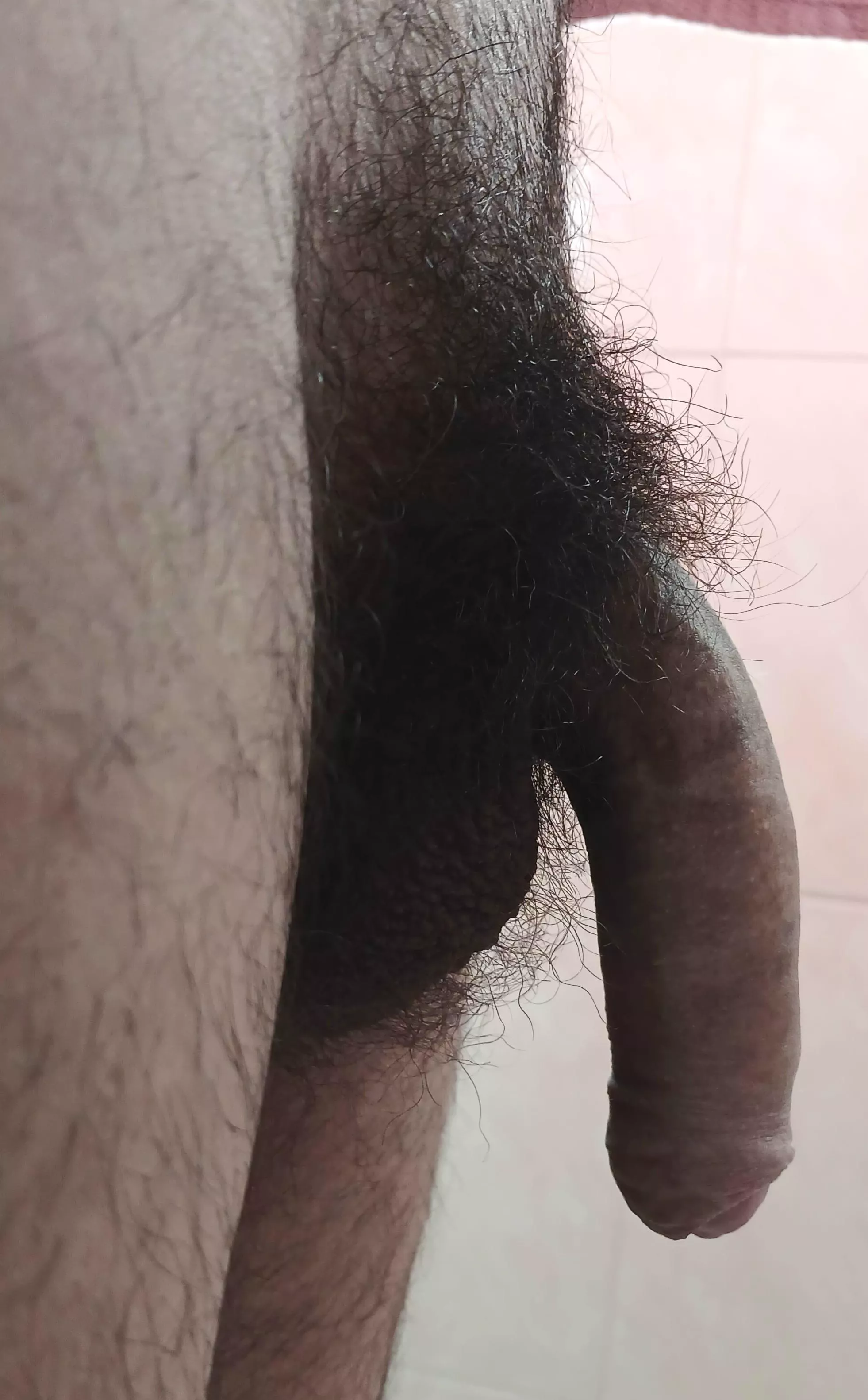 Is this hairy enough? posted by from_hyrule