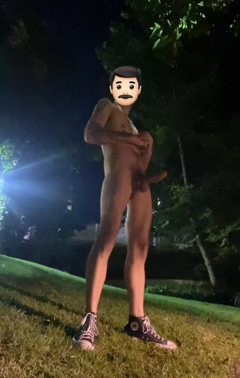 Naked at the park again  posted by oopsallboners