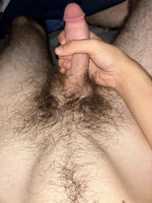 19 lmk what you think about this bush :)  by ScottSum88