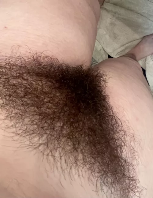 a thick dark bush like mine is hard to find👀 by baby_sophia20