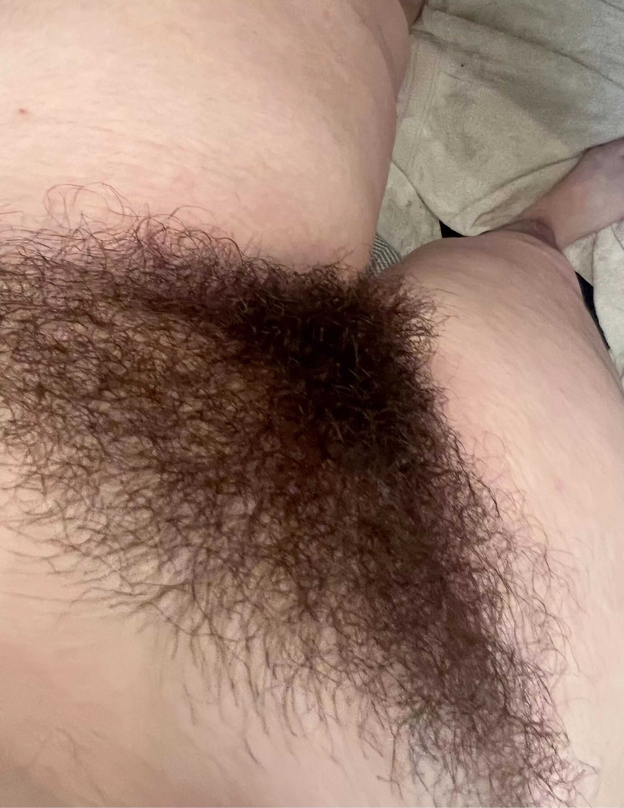 a thick dark bush like mine is hard to find👀 posted by baby_sophia20