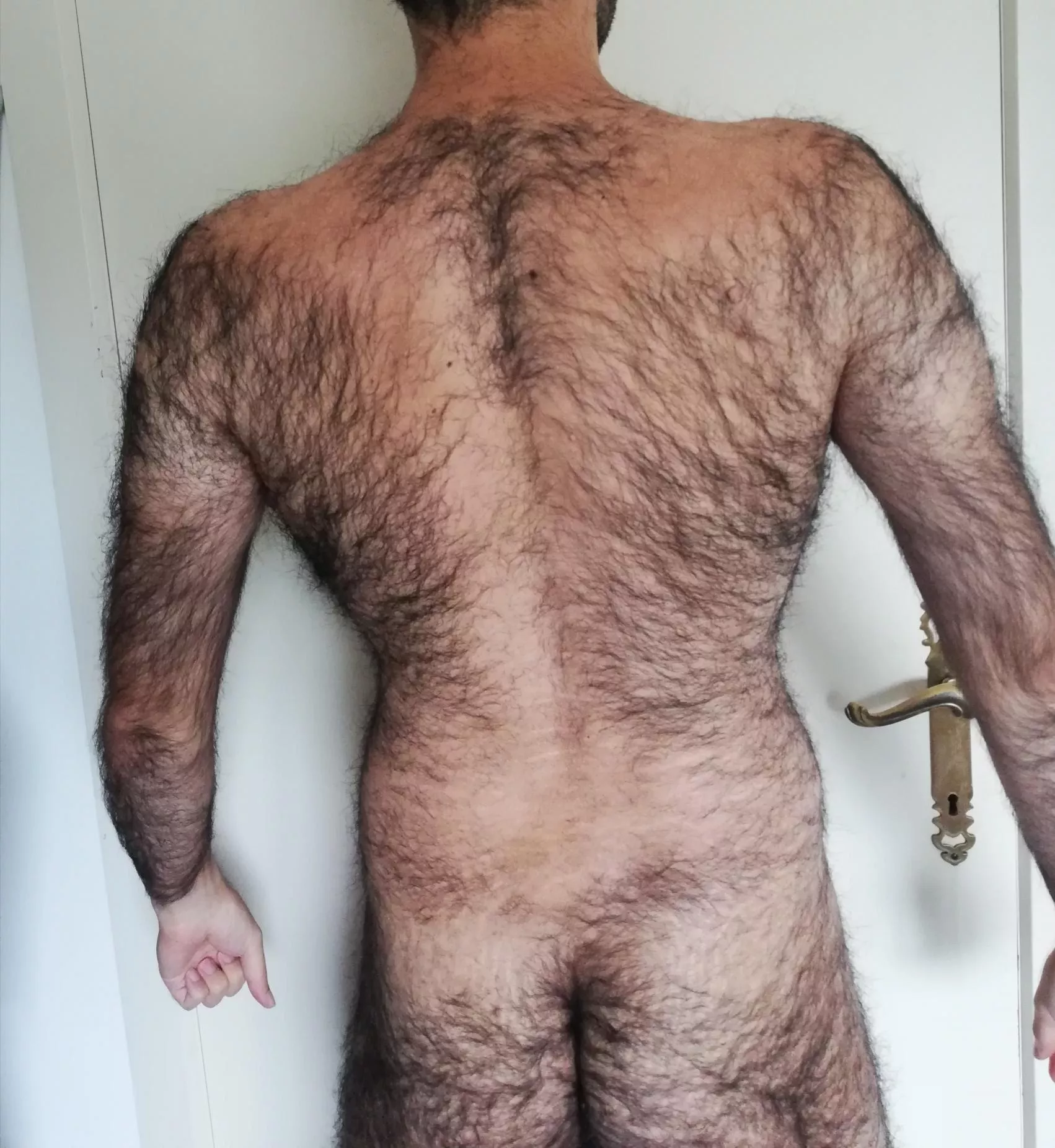 Back pose posted by Hairypanter