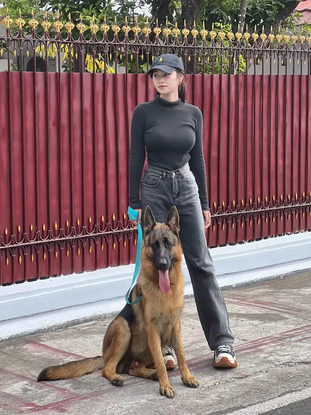 beware fierce dogs posted by phinokio