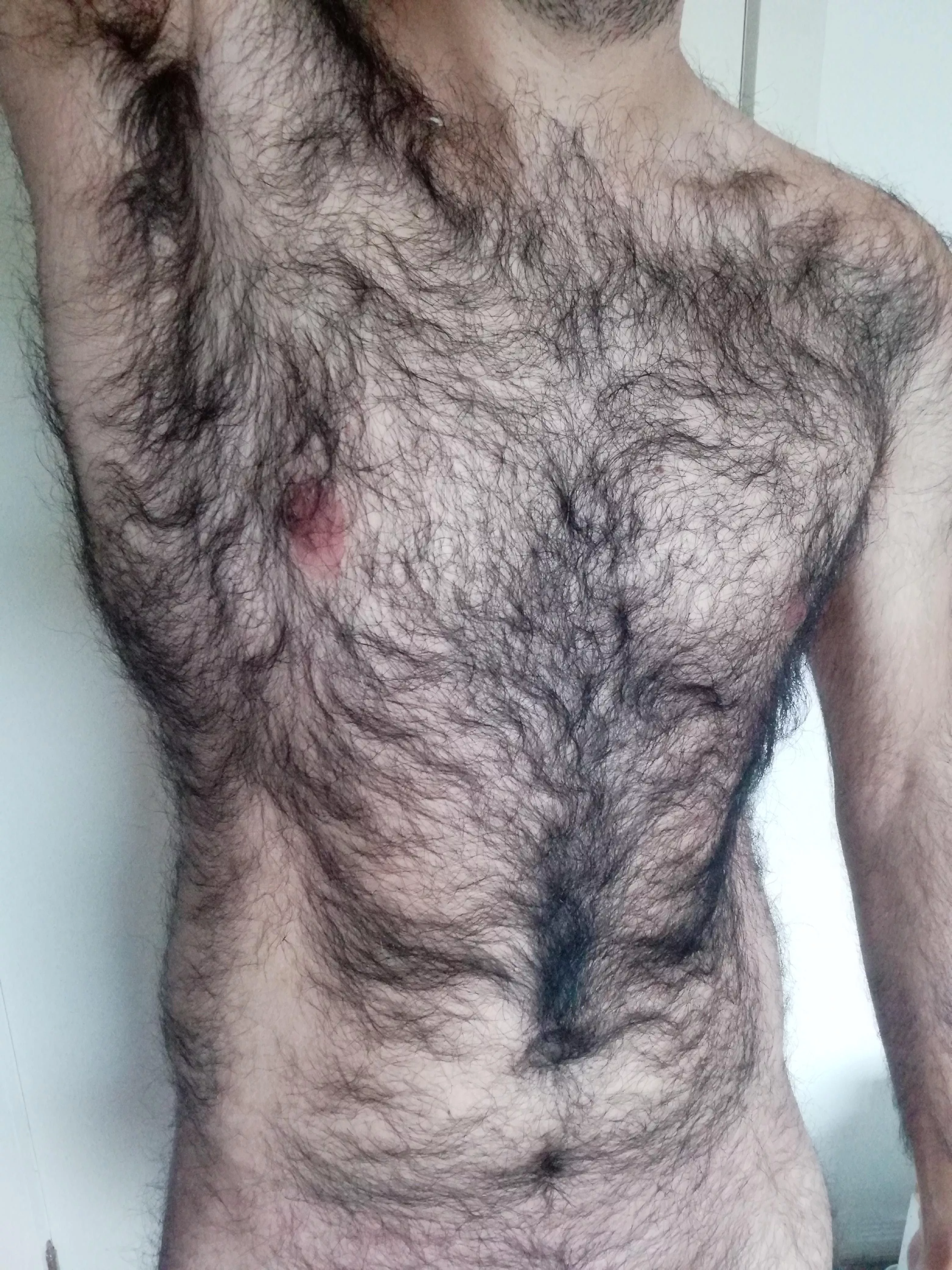 Chest and armpits posted by Hairypanter