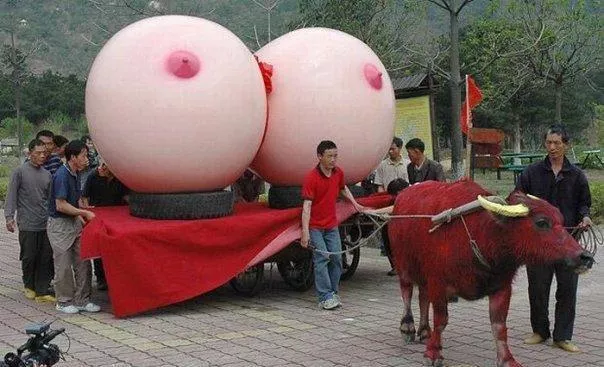 festival celebrated in China every year😂 by raiderrockz21