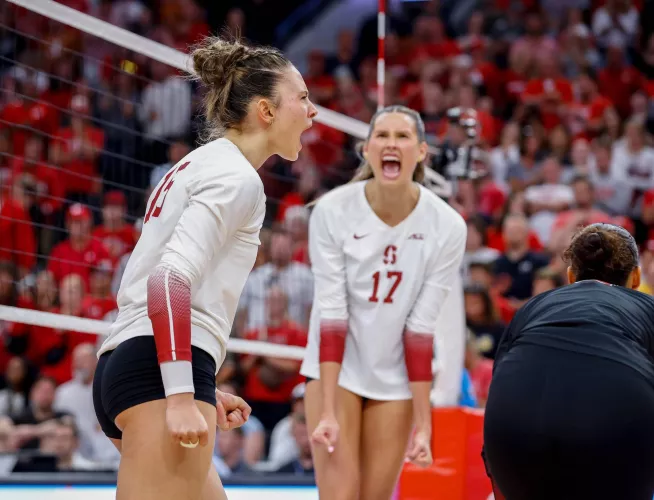 Ipar Kurt  by xasthur07