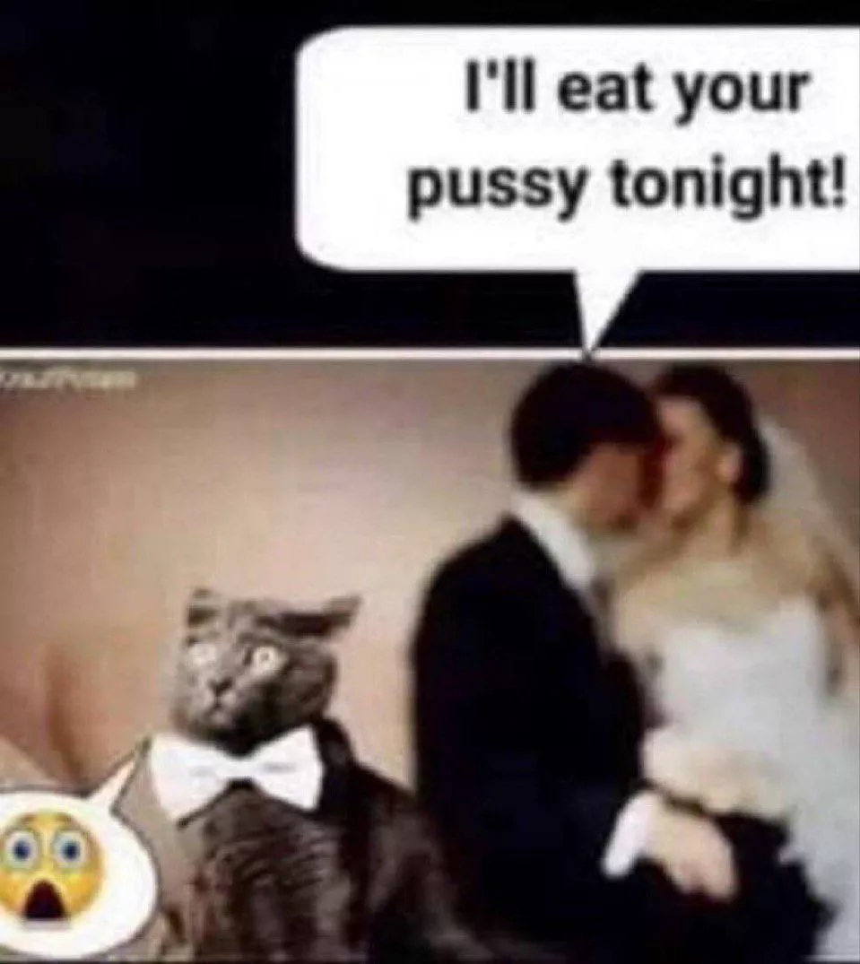 Noooo not the pussy posted by Objective_Serve5252