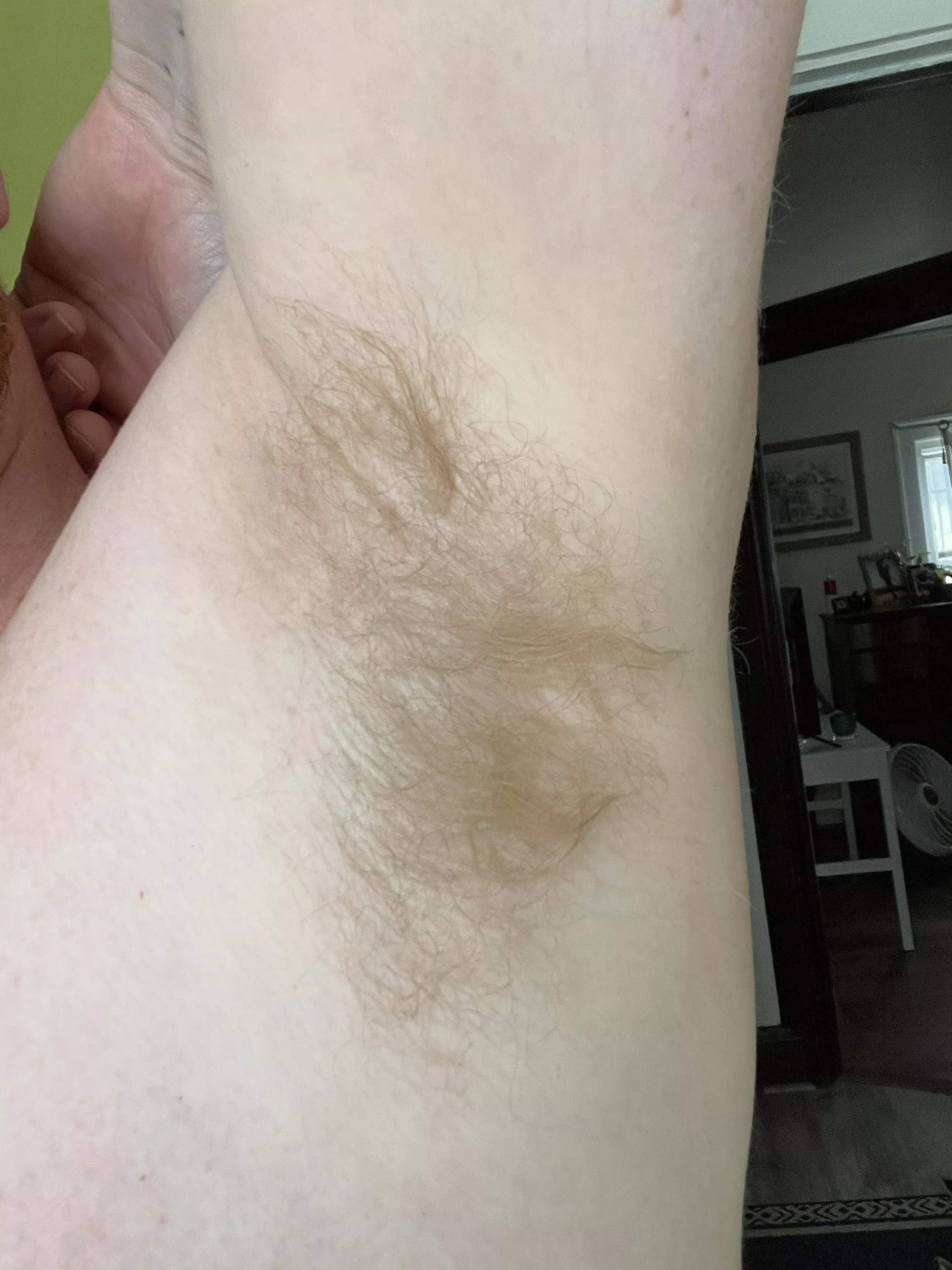 Post gym ginger pit posted by AltSideThingy