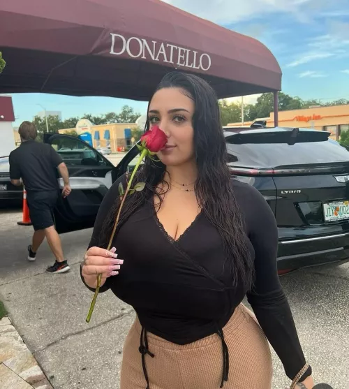 Rose  by rudeNwrecked