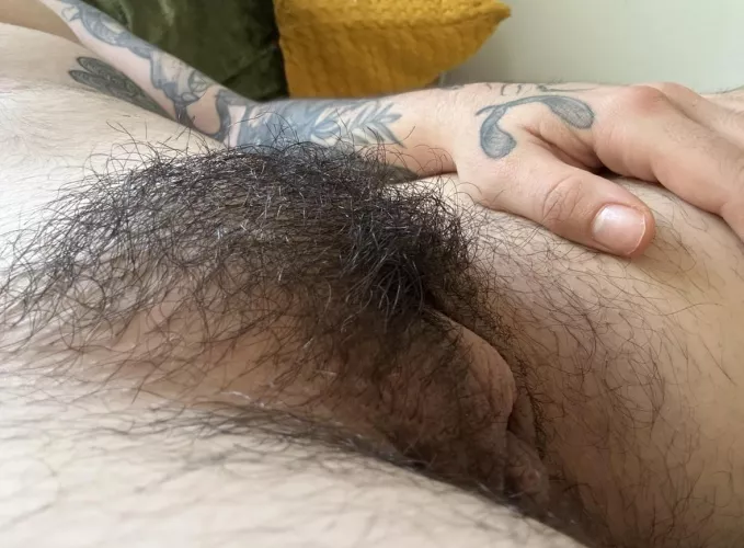 who wants a snack?! by satansgoodboy_