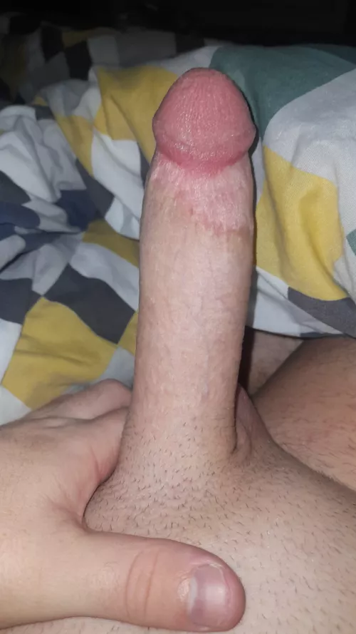 (24) Irish. Snap Ryan16324  by Chelsea180