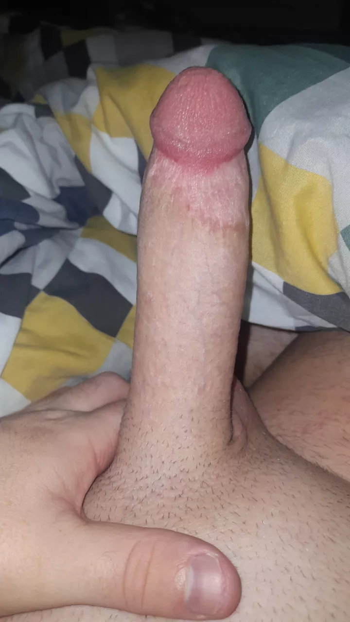 (24) Irish. Snap Ryan16324  posted by Chelsea180