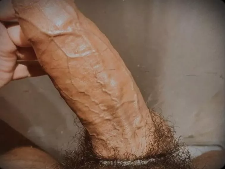 [29] posted by ExaminationOpen4038