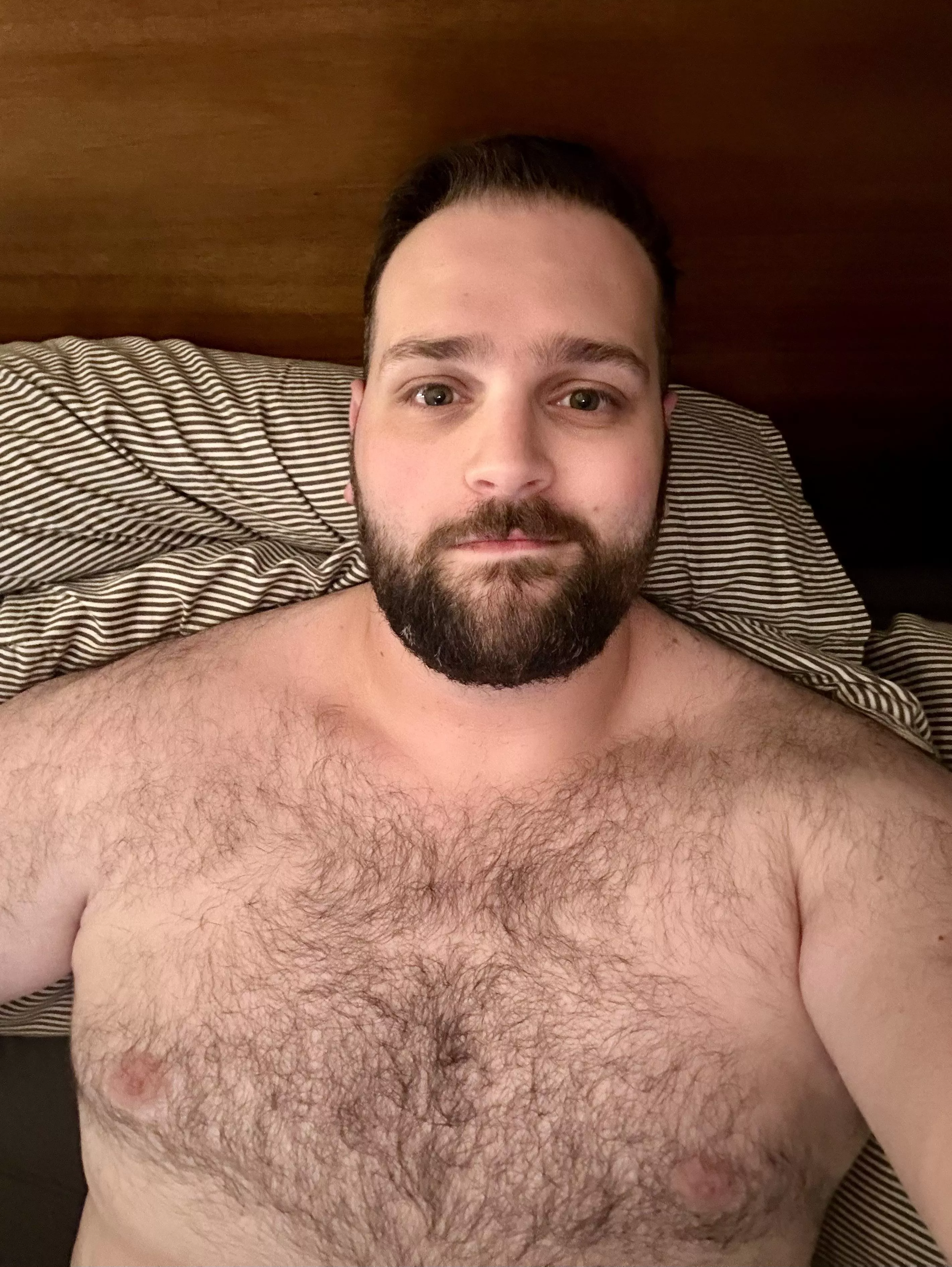 29 beefy hairy cub looking for pic trade, chat, and more. into all types of guys, but hairy dudes, verbal dudes, & face pics get my attention quickly. hit me up with age @nickel-oaken posted by oaken-nickel