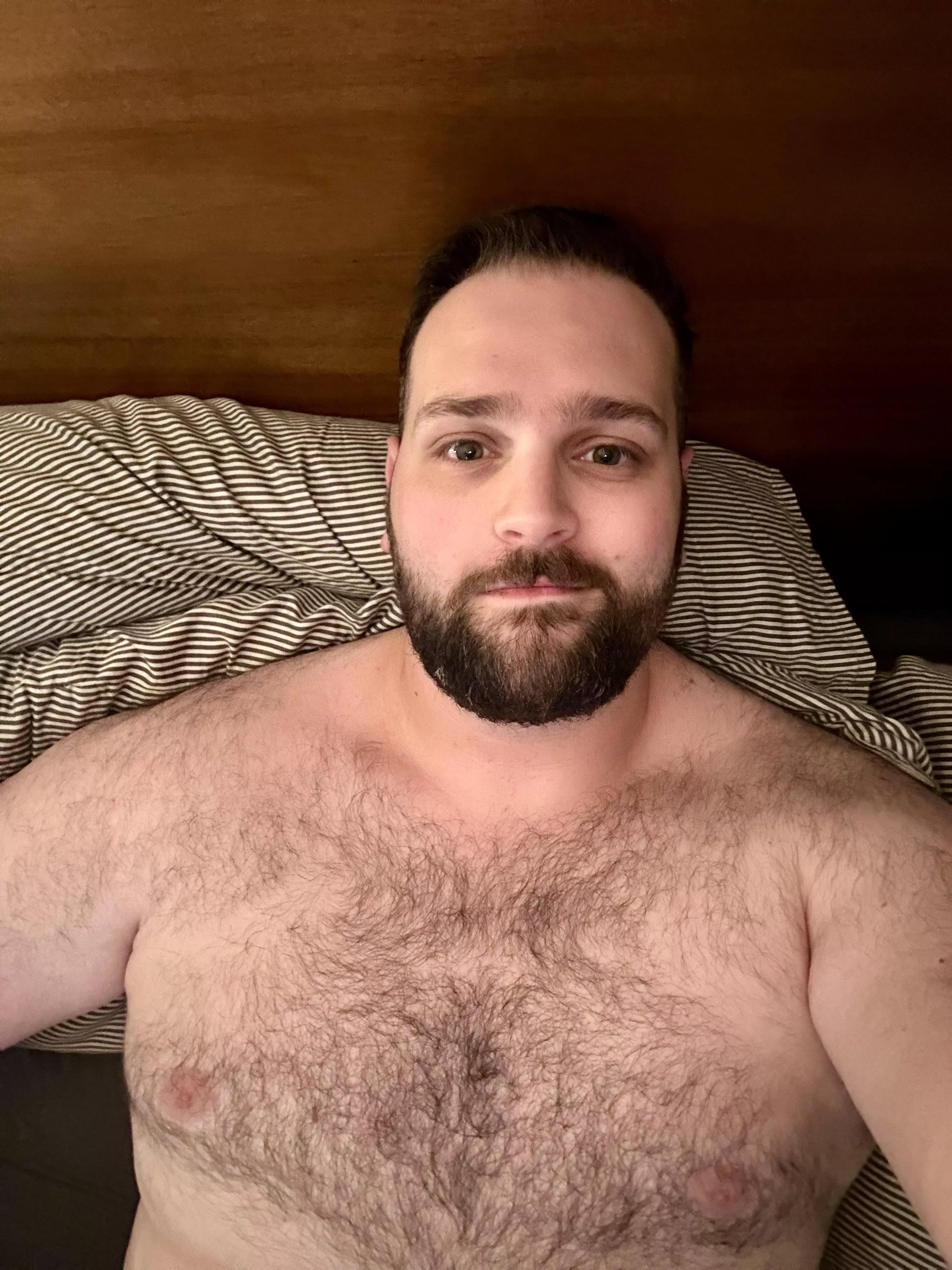 29 beefy hairy cub looking for pic trade, chat, and more. into all types of guys, but hairy dudes, verbal dudes, & face pics get my attention quickly. hit me up with age @nickel-oaken posted by oaken-nickel