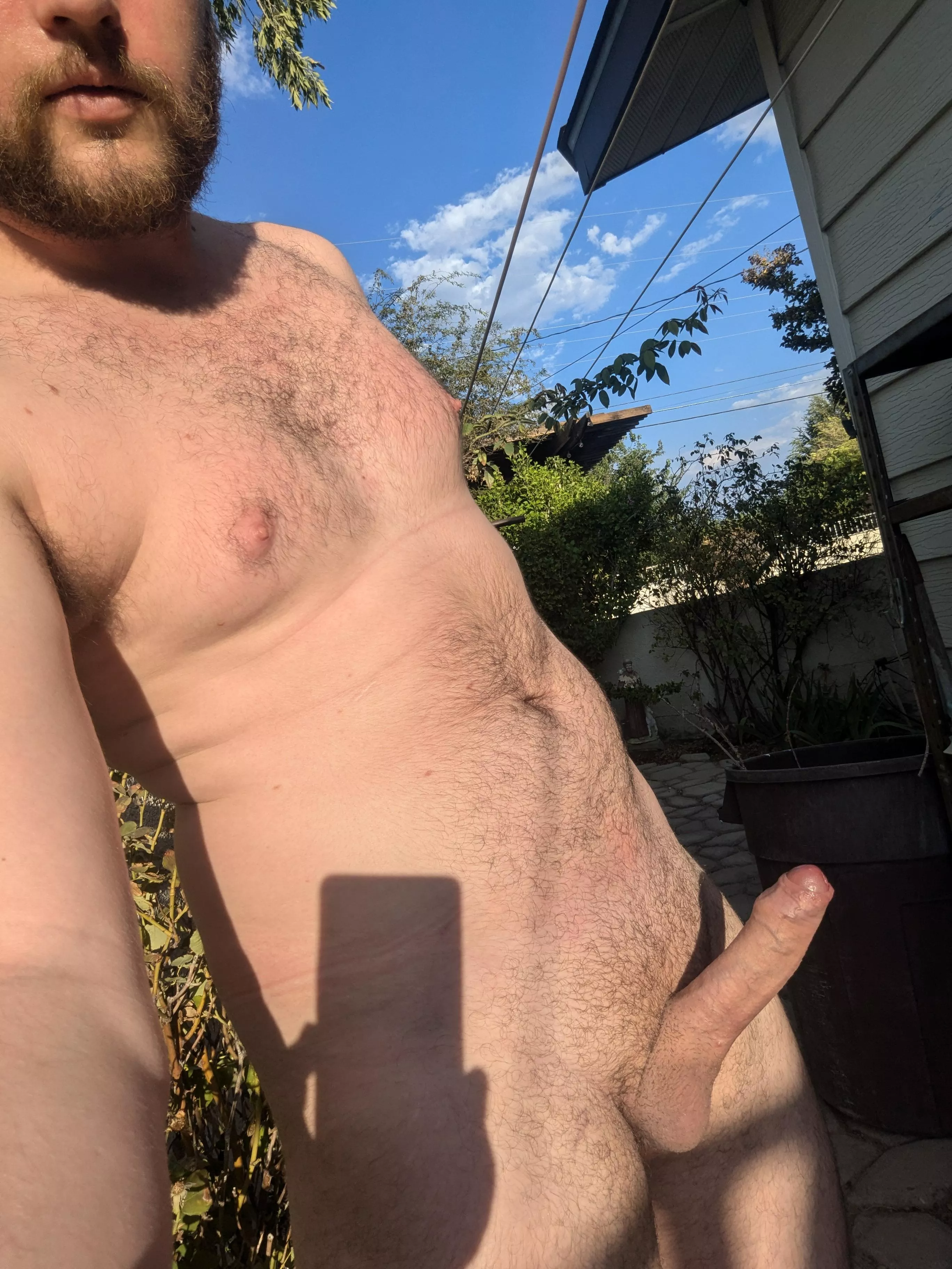 Catch me in the garden  posted by Livedlikelarry