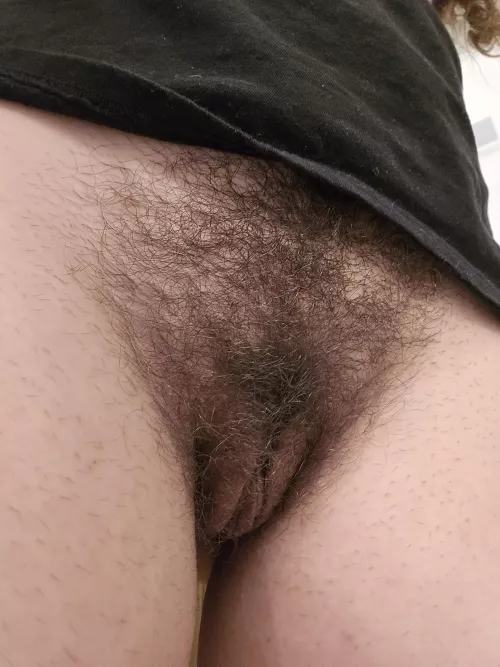 Does bush taste better by electronicnotetaker