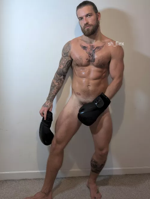 Fancy a round in the ring with me?  by sh_flex