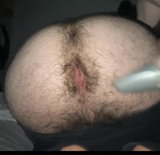 First post here, is my hole hairy enough  by IndeedYoungSir