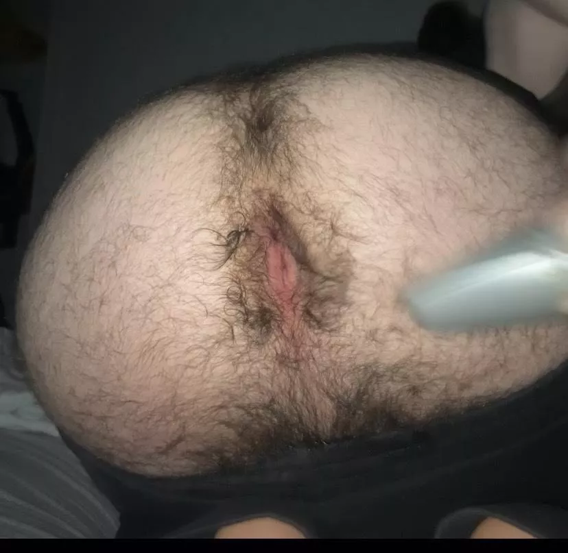 First post here, is my hole hairy enough  posted by IndeedYoungSir
