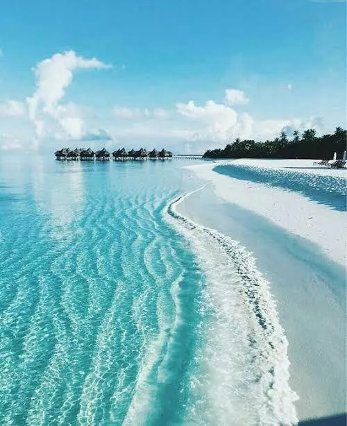 God willing, this is a paradise on earth posted by VeterinarianRich1478