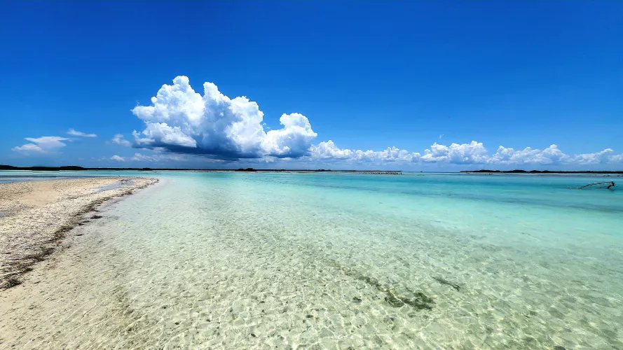 Heaven  by crazies8888