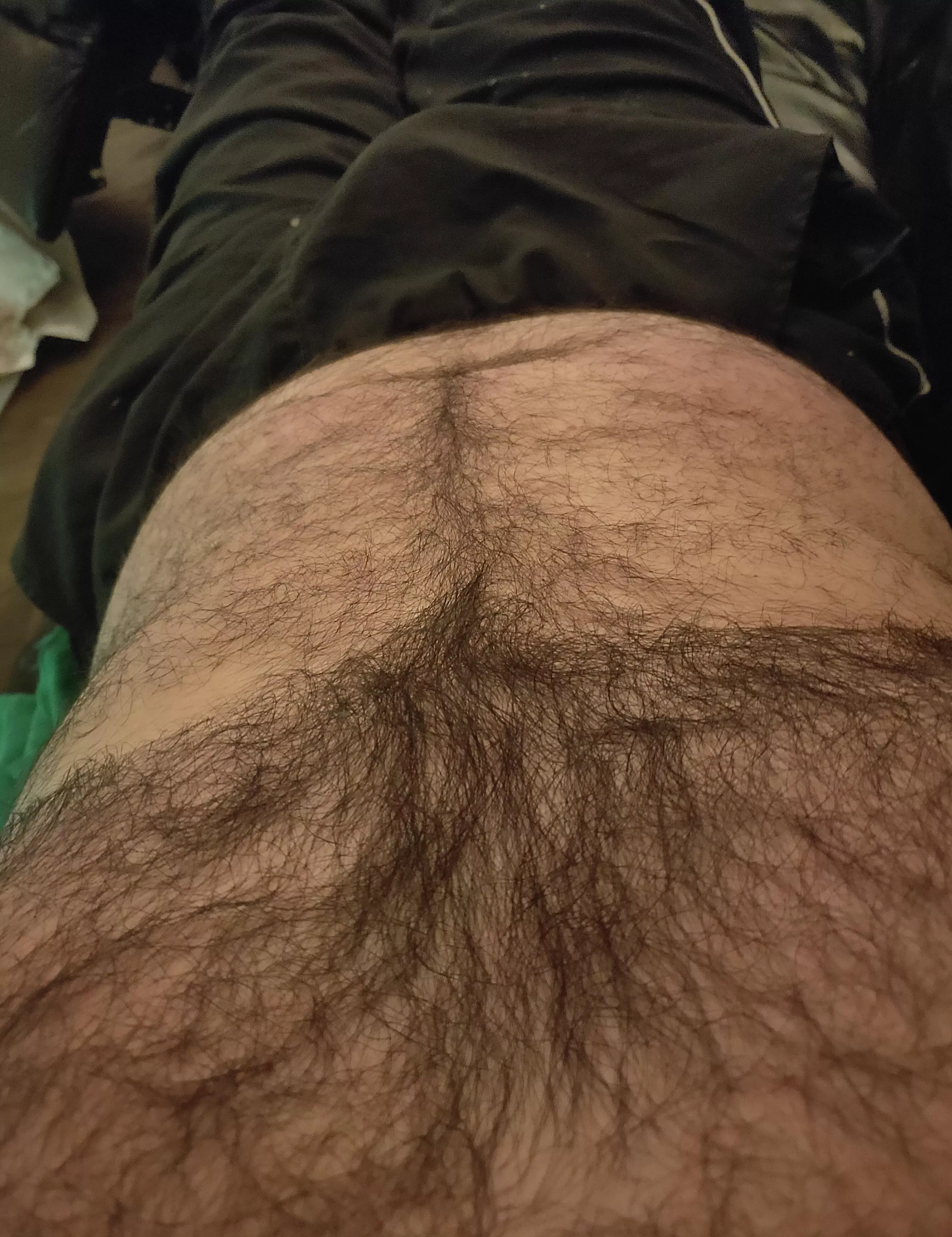 In from a few drinks  posted by HairyDiplodocus