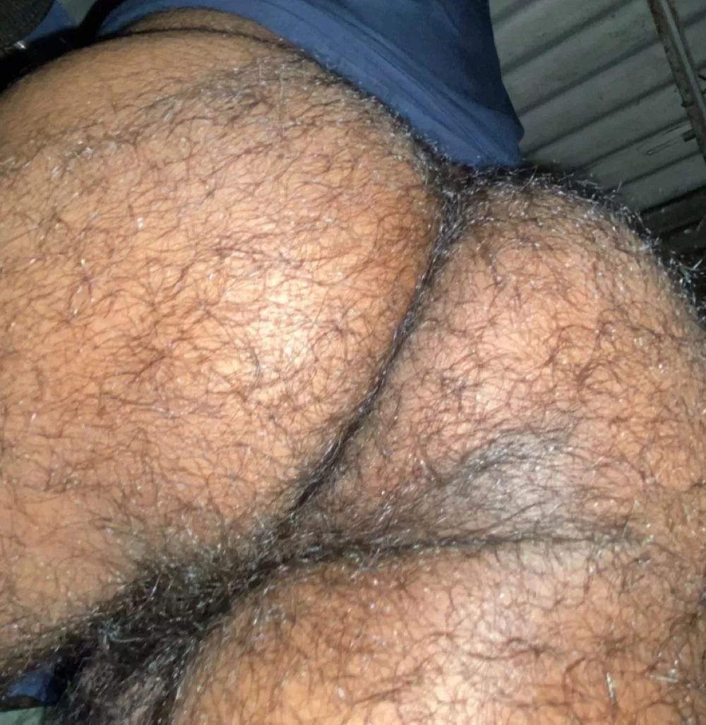 my true hairy ass posted by 28h0e
