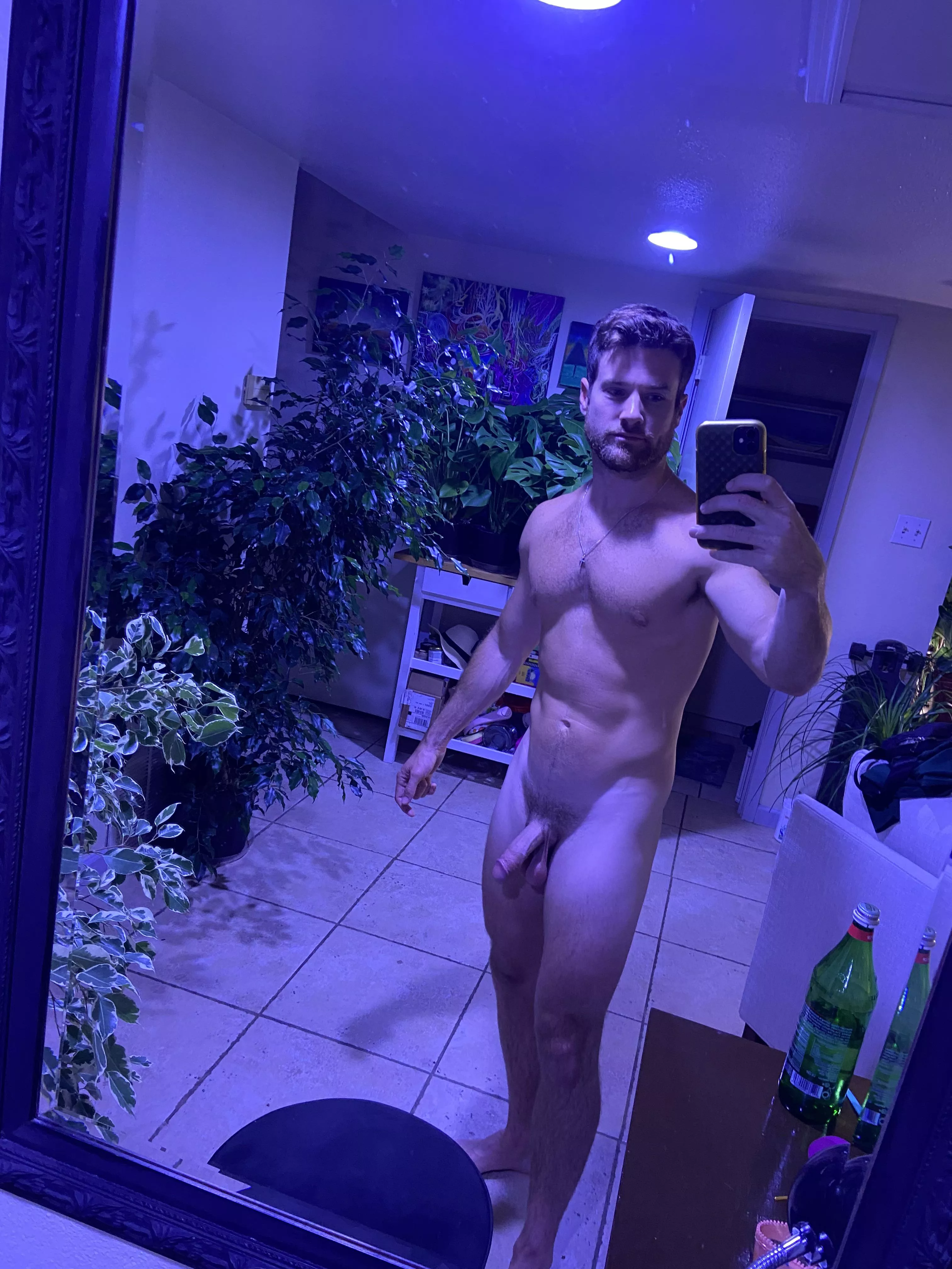 Plant Man  posted by APEKINGSILVERBACK