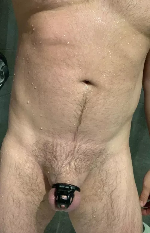 She said I have to stay locked until the end of Locktober because my dick is useless.  by ownedbygoddessb28