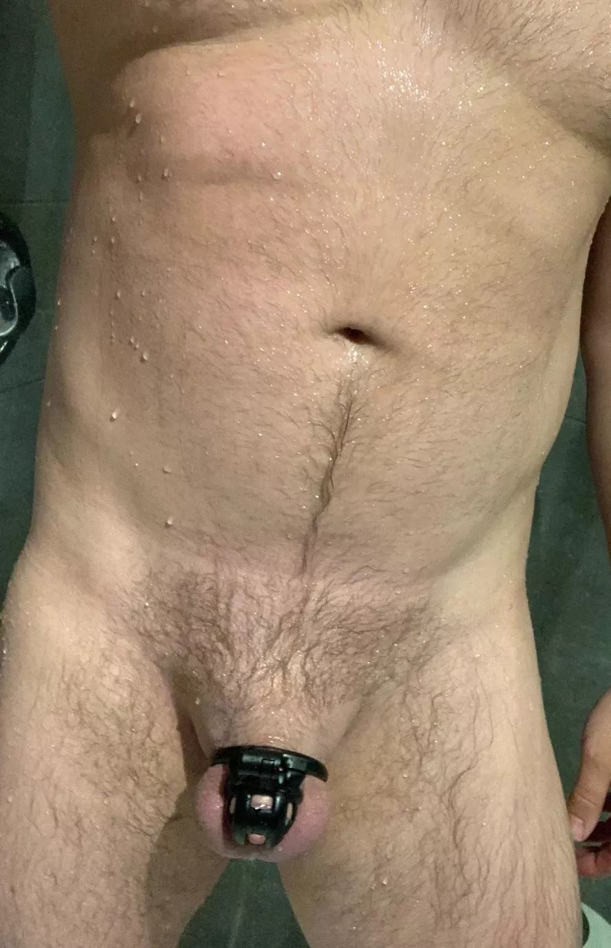 She said I have to stay locked until the end of Locktober because my dick is useless.  posted by ownedbygoddessb28