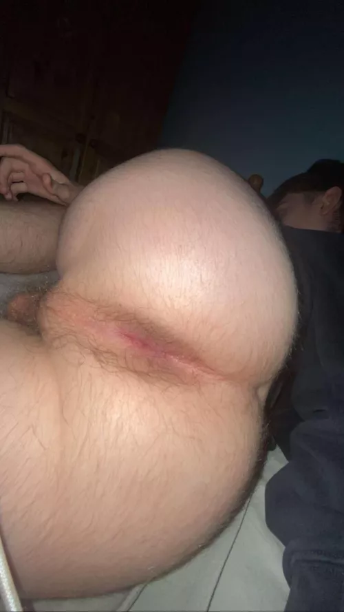 18 Who wants it  by Physical_Panic_4353