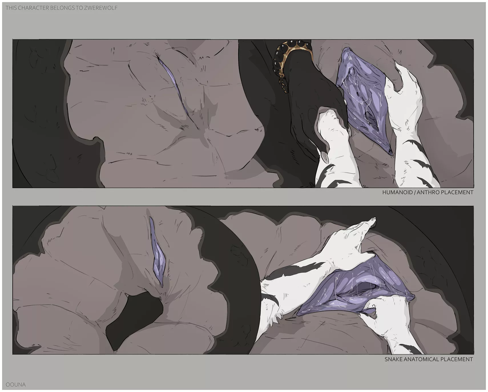 Anatomically accurate snake bits [FM] (Oouna) posted by MRWTR_take_lik