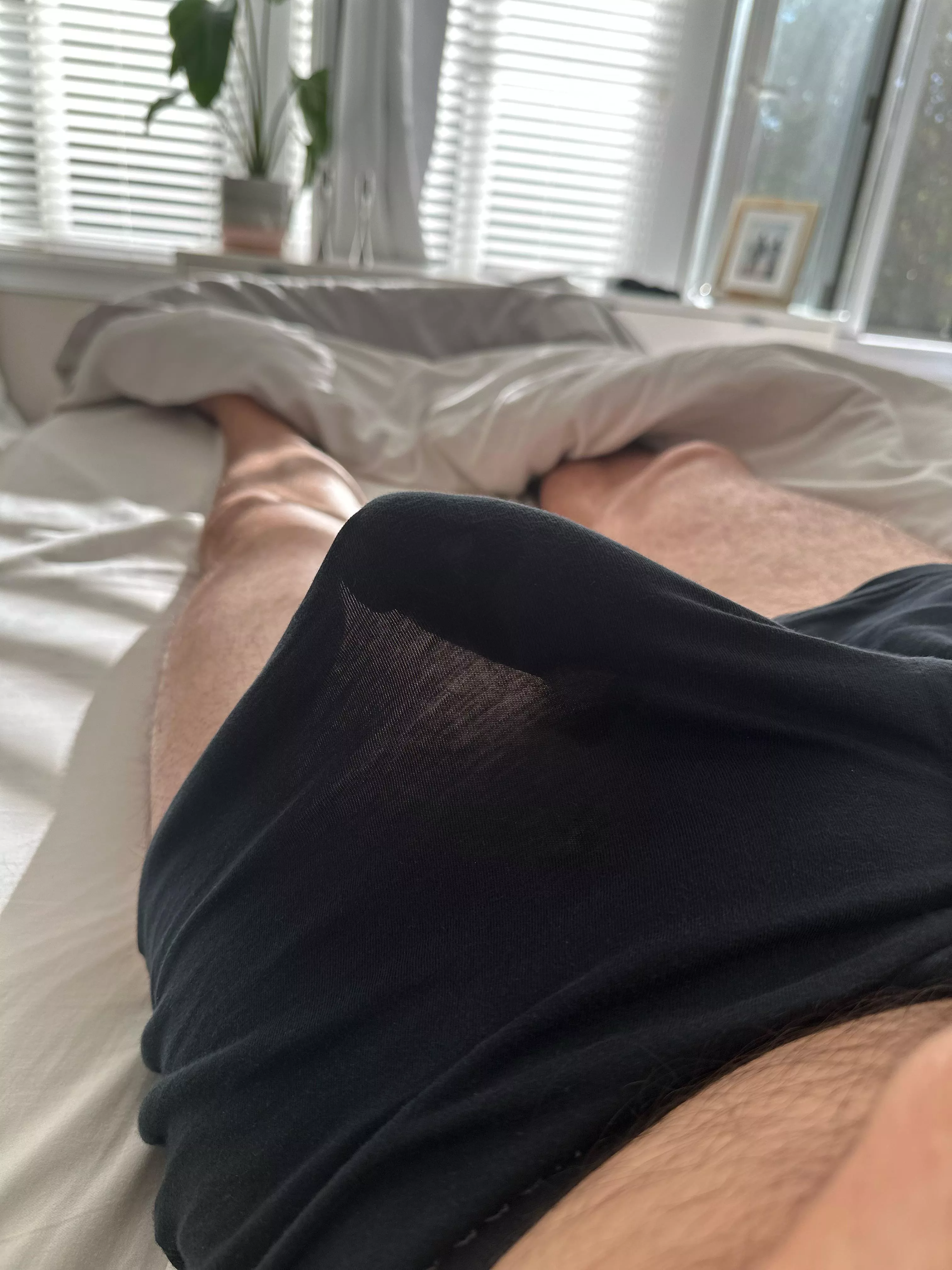 Anyone want to pull it out? posted by Original6Man