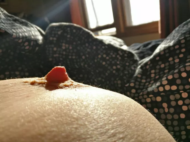 Catching last light with stoic presence.  by headch33se