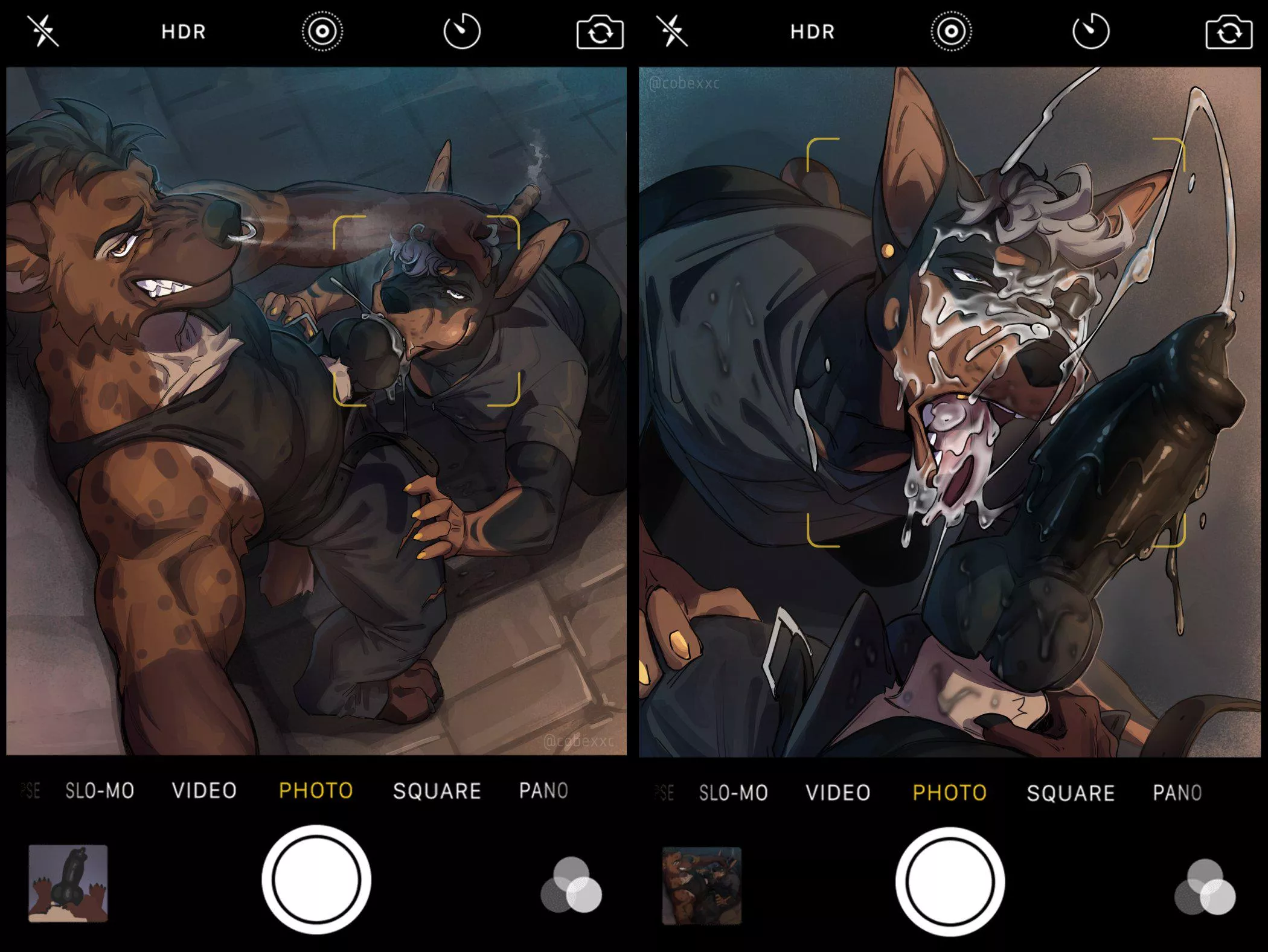 (Cobe) posted by TangentYoshi