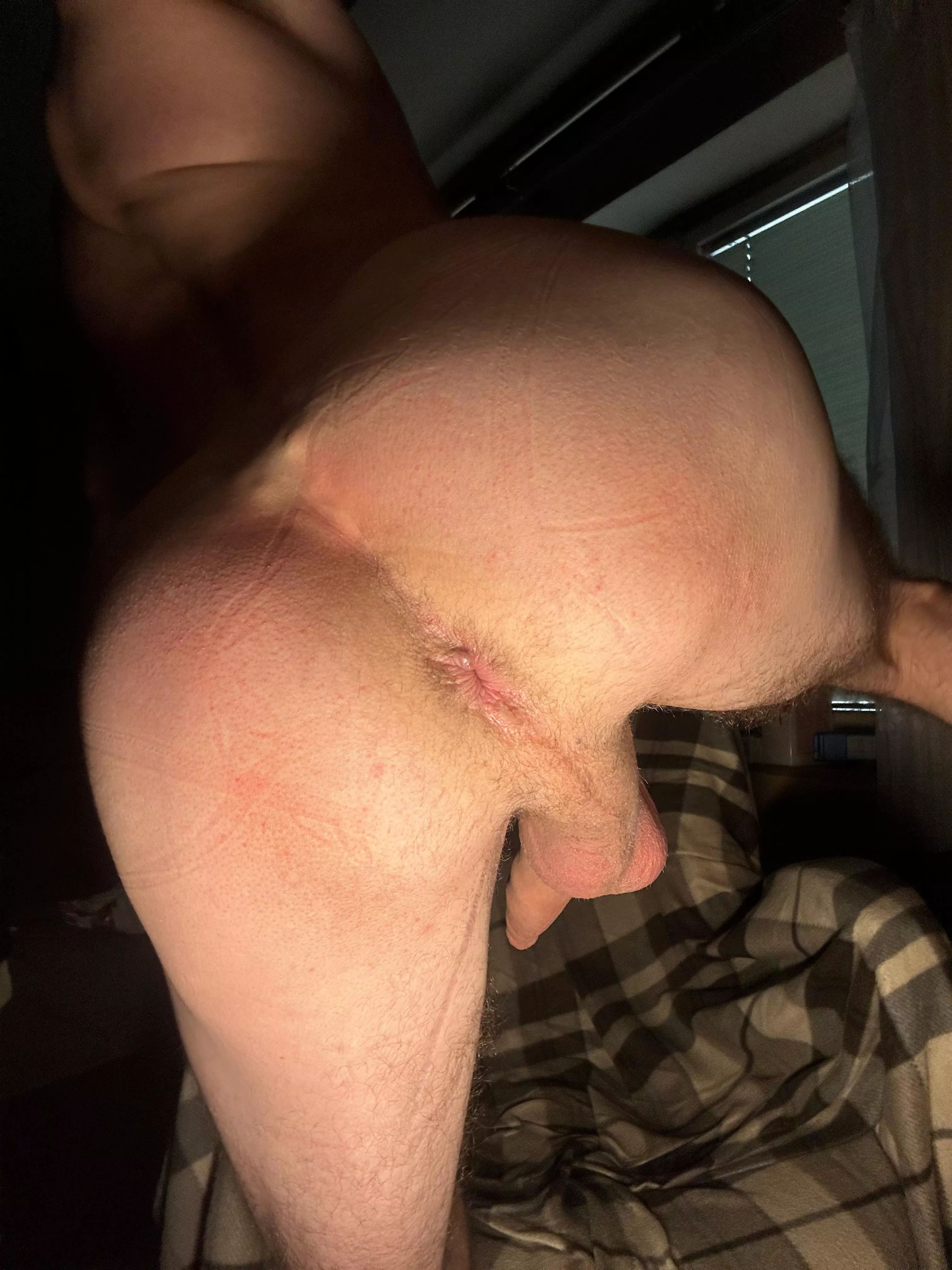 Eat , or breed ? posted by bibro096